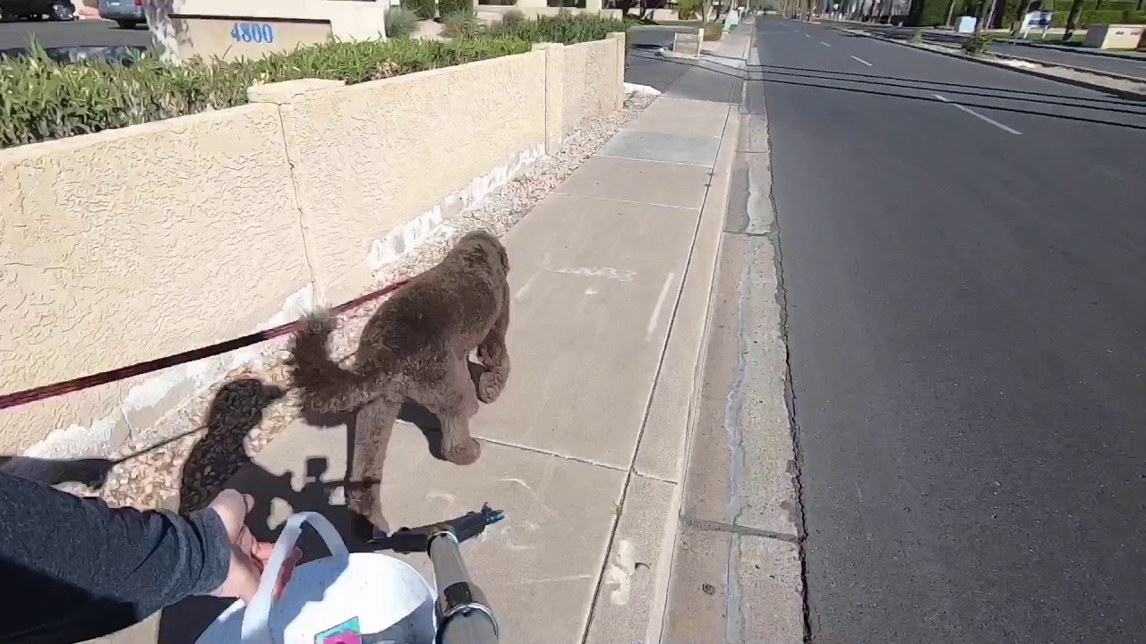 [17] Trash Clean Up in Camelback East