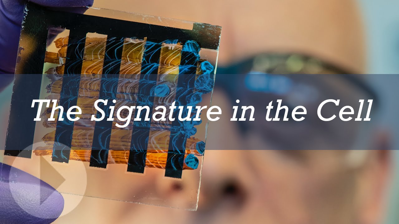 The Signature in the Cell - Stephen Meyer