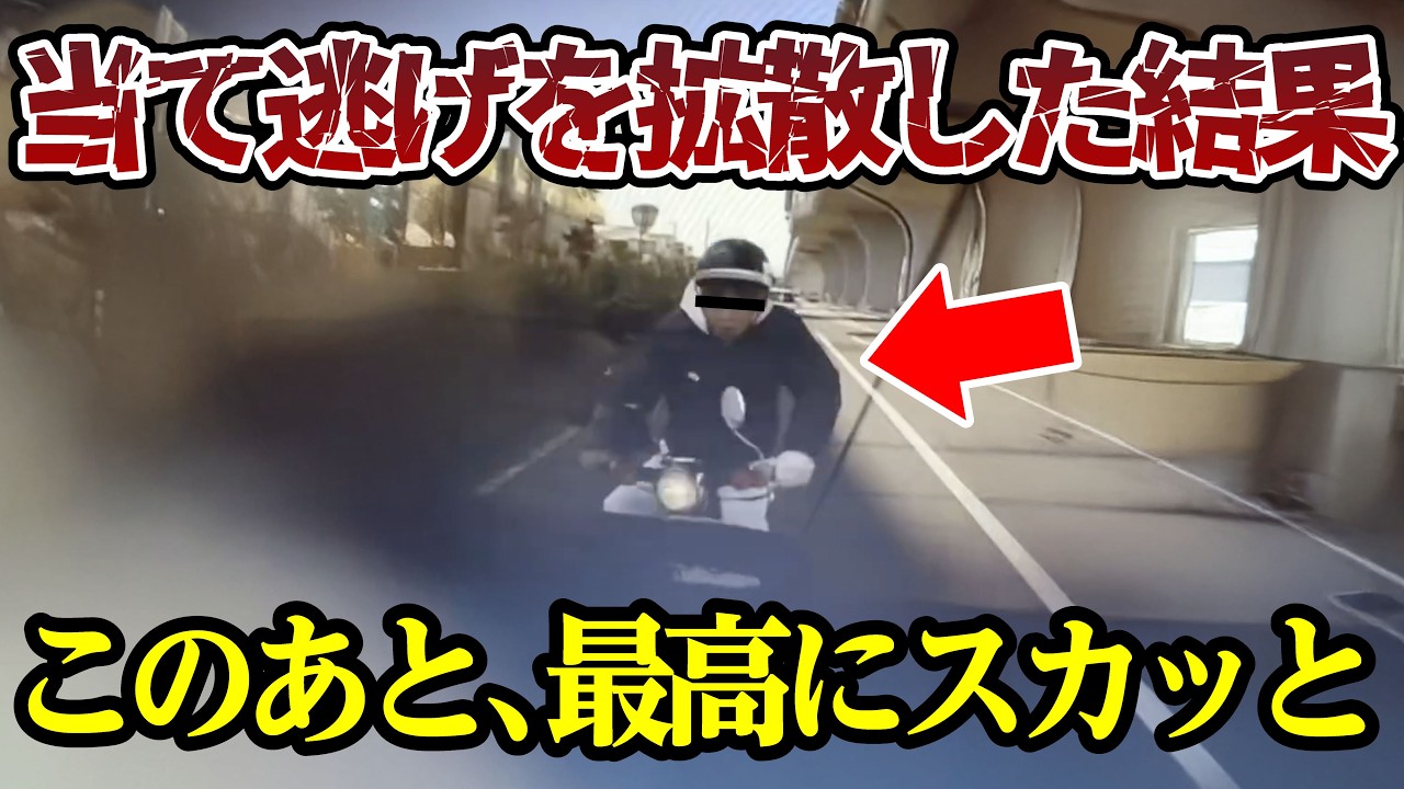 当て逃げ動画を拡散された少年の末路、最高にスッキリ 【閲覧注意】交通事故・危険運転 衝撃の瞬間【445】
