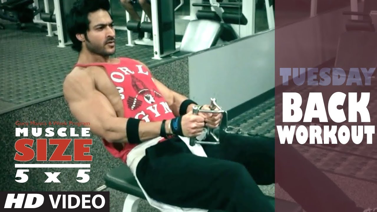Tuesday : BACK WORKOUT | 