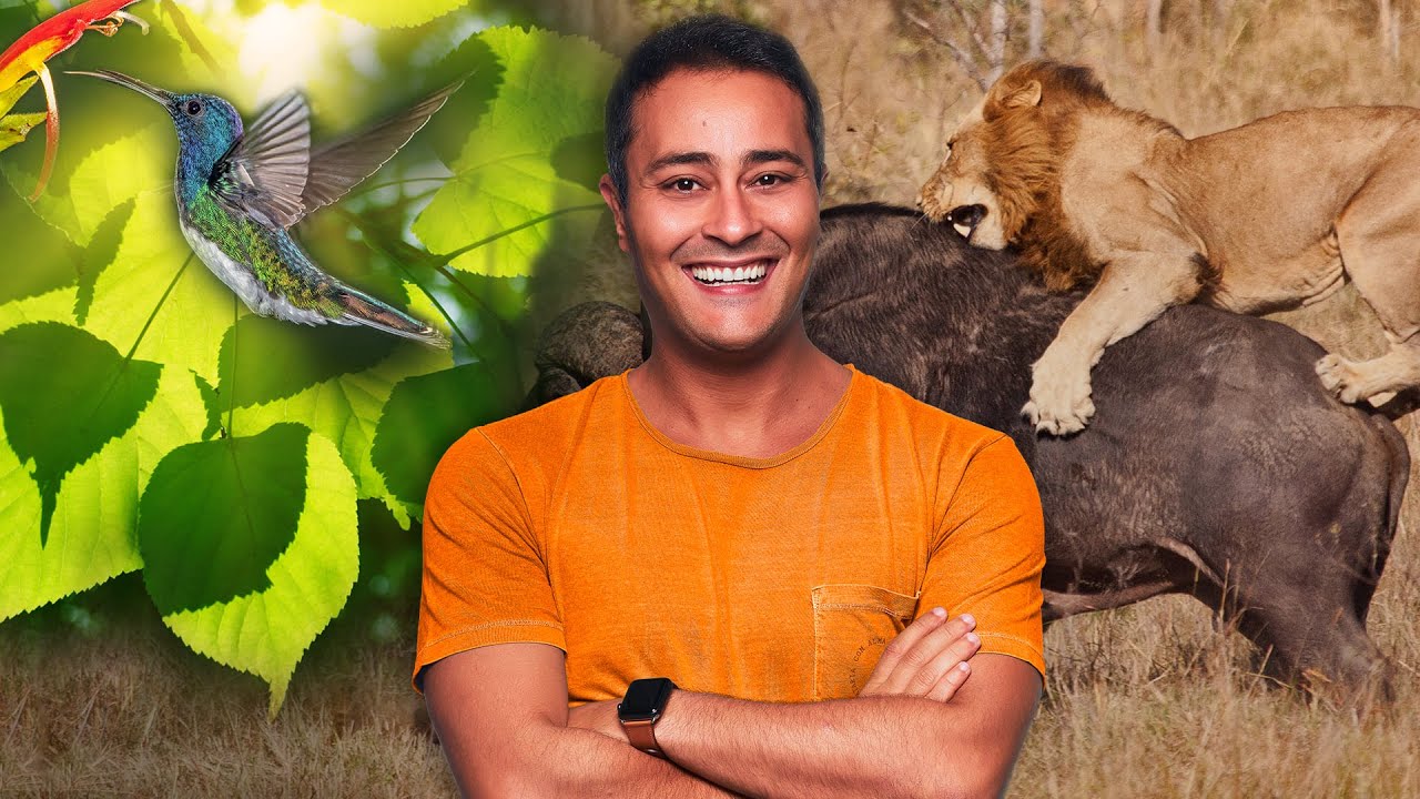 Conceitos Básicos da ECOLOGIA | Prof. Paulo Jubilut