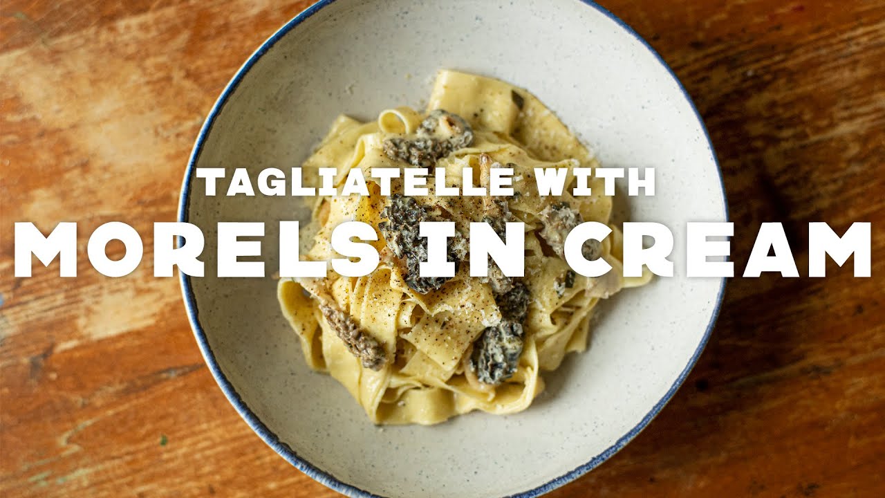 Tagliatelle with Morels in Cream