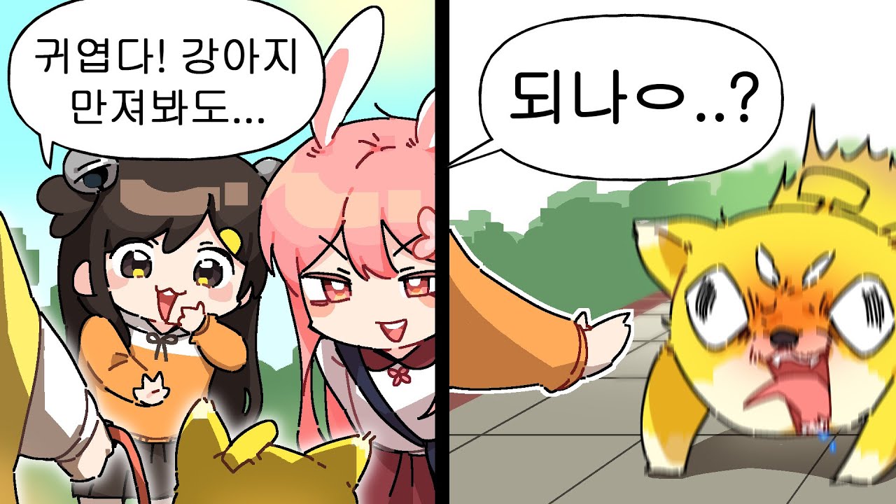 개 조심