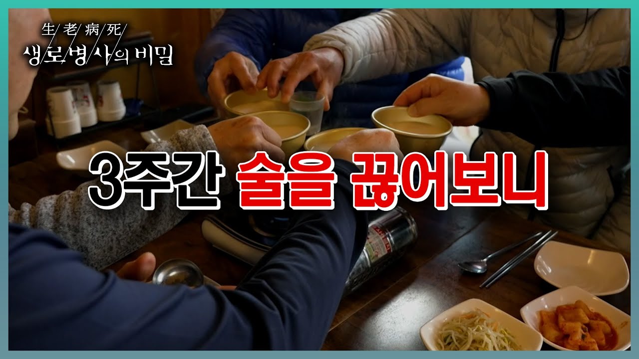 📌방송 하이라이트📌 3주간 술을 끊어보니 (KBS 20230419 방송)