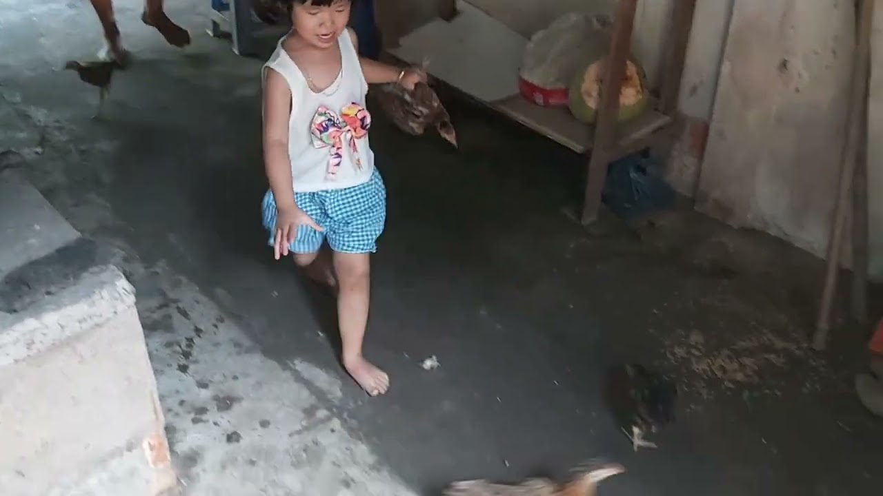 Về quê ngoại hành hạ mấy con gà