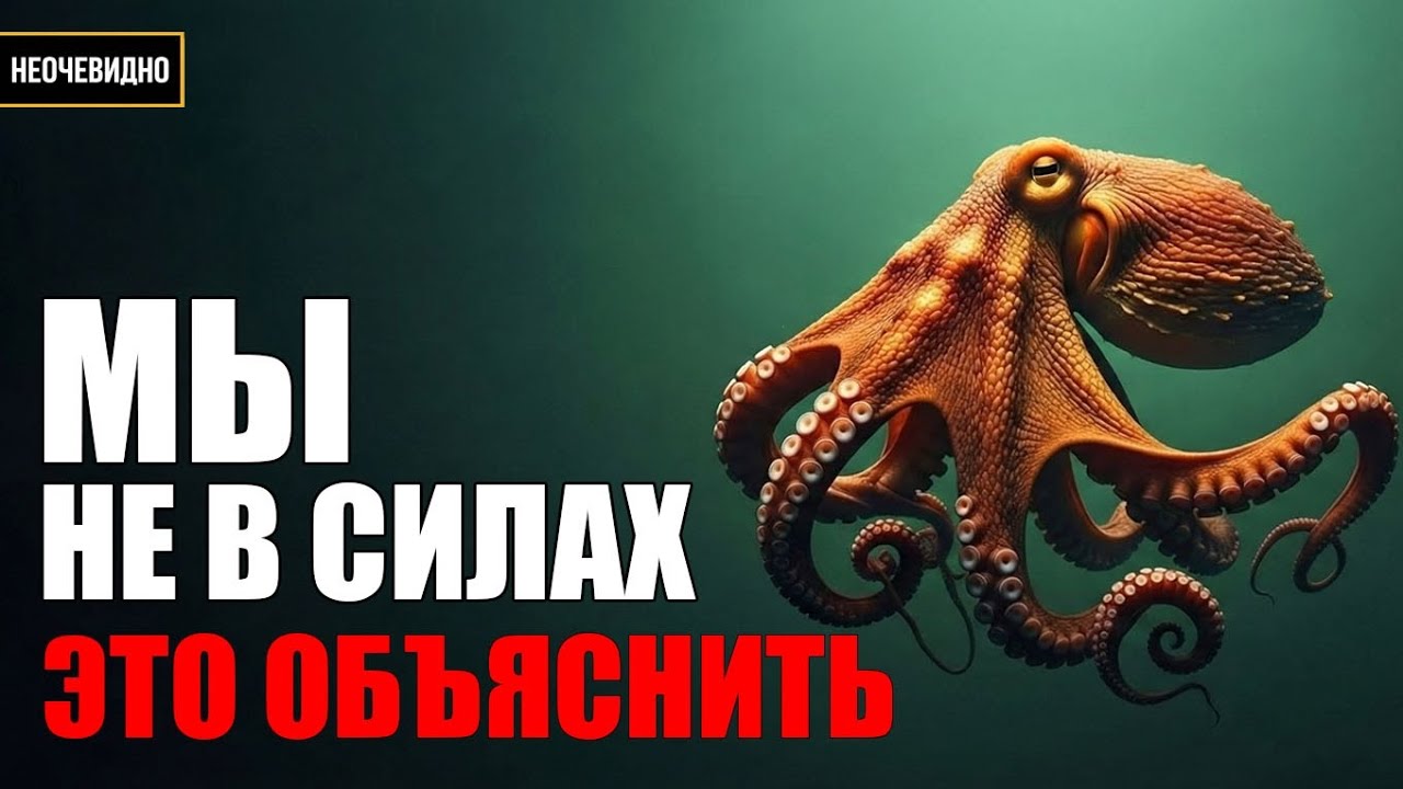 ПОЧЕМУ ОСЬМИНОГ ОДНО ИЗ САМЫХ АНОМАЛЬНЫХ СУЩЕСТВ В ПРИРОДЕ 
