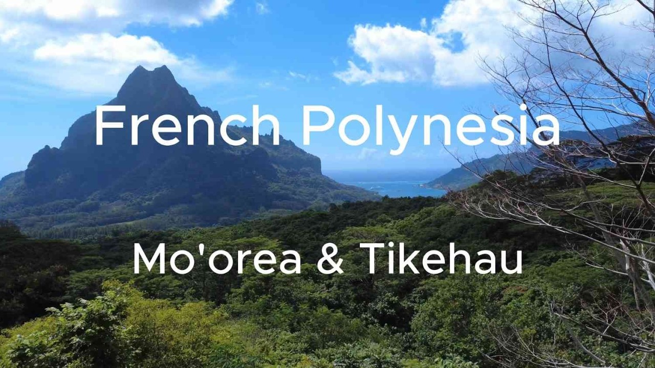 French Polynesia 4K - Relaxing Footage from tropical islands MOOREA and TIKEHAU 1 HOUR