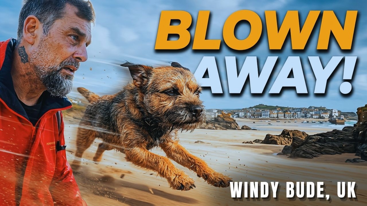 Dog Blown Away on a Windy Cornish Beach! | St Ives Adventure