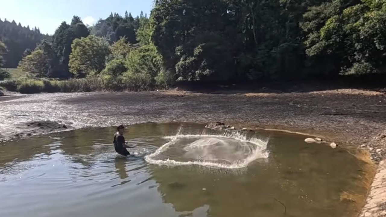 池の水を抜いて投網を打つ