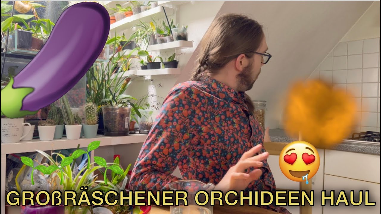 First Haul from Großräschener Orchideen | Orchid haul | Cattleya | Bulbophyllum