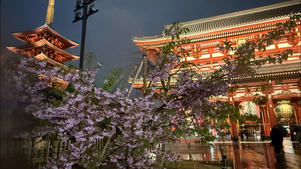 【TOKYO-Asakusa 】【浅草寺】Sensoji Temple➖Chùa Sensoji PHẬT QUÂN ÂM-Asakusa Kannon linh thiêng