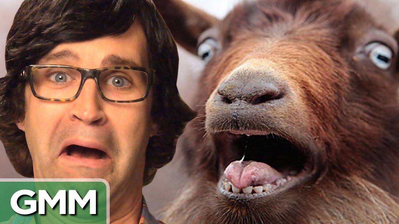 Is This A Human or an Animal Sound? (GAME)