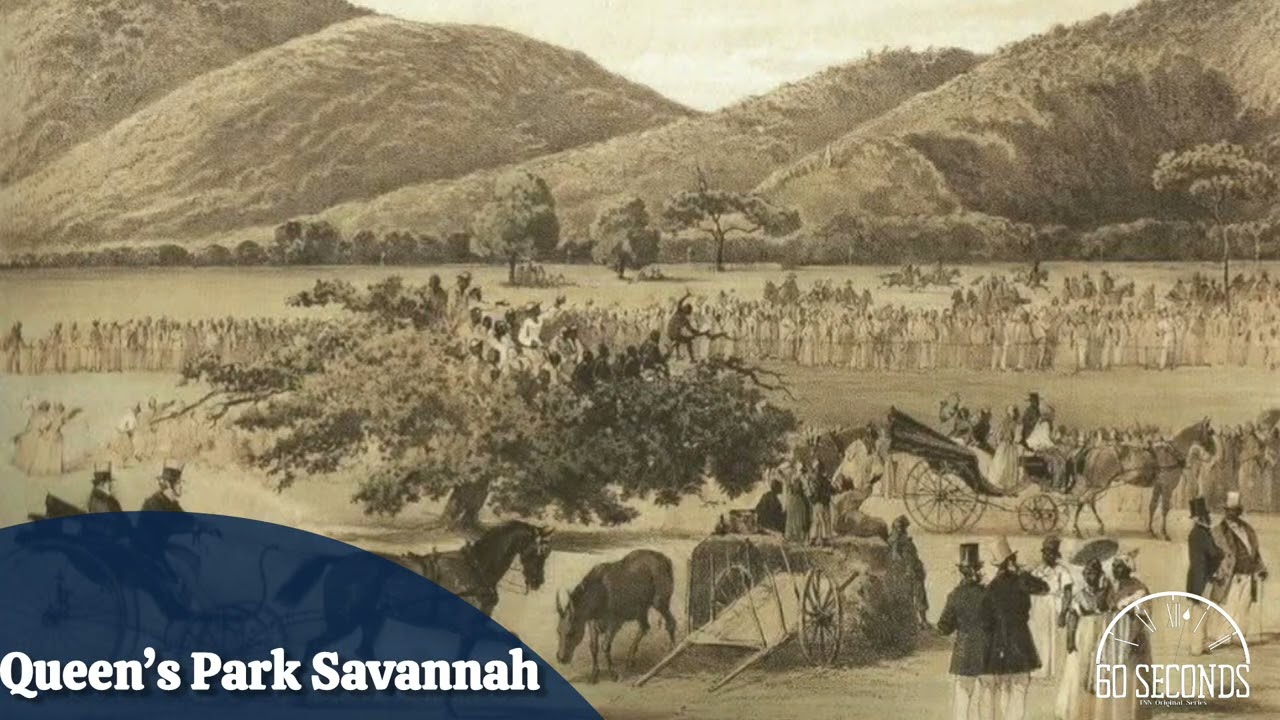 Queen's Park Savannah 60 Seconds Episode 4, Season 1