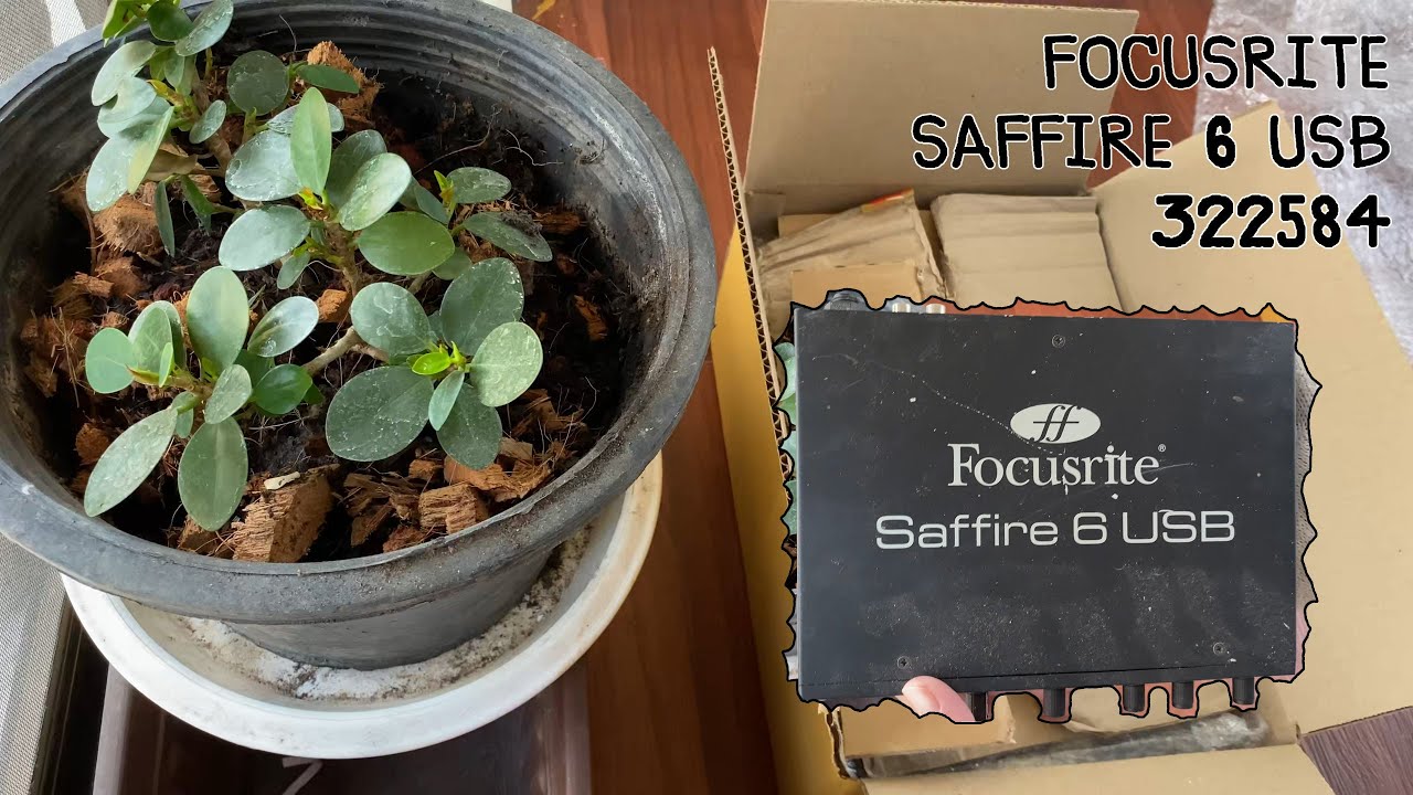 Secure Packing | FOCUSRITE SAFFIRE 6 USB