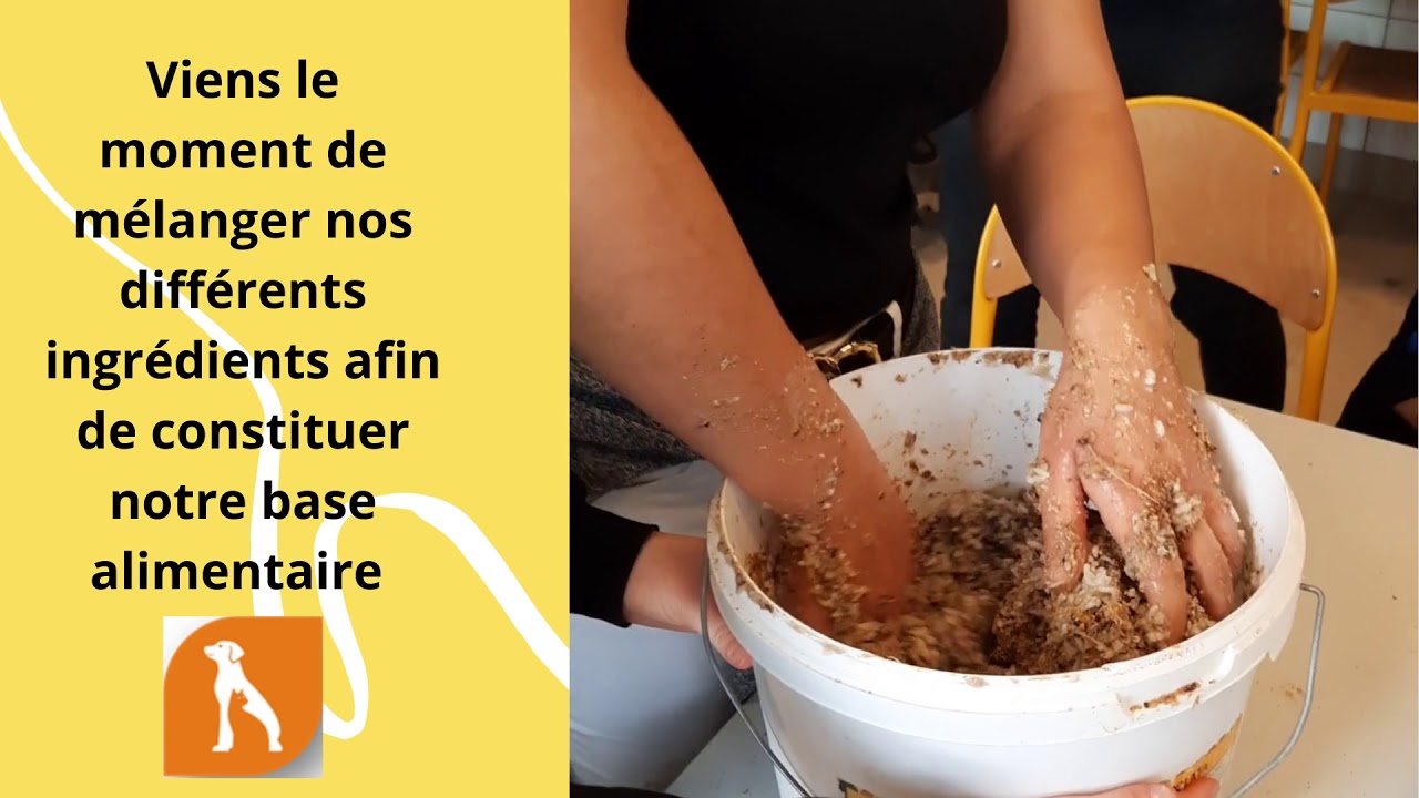 Travaux pratiques Nutrition - Fabrication d'une croquette maison