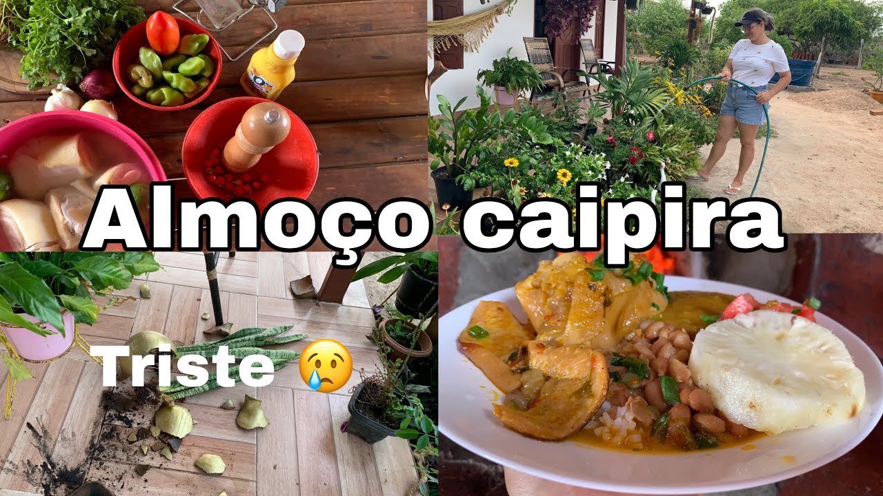 COZINHANDO NO FOGÃO A LENHA 🪵 E VIVENDO A VIDA COMO ELA É -FIQUEI 😭 COM O QUE ACONTECEU