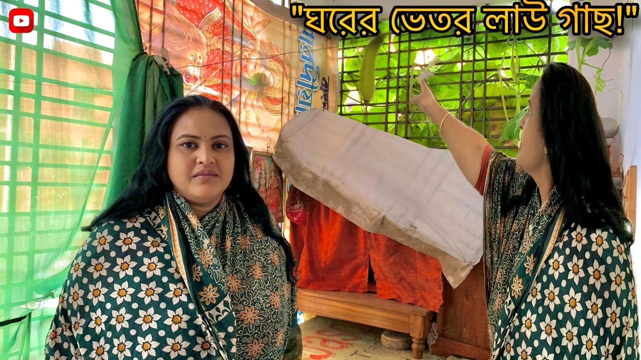 আমাদের ৩ তলা ঘরের ভেতর লাউ গাছ ঢুকে পড়েছে! 🌿 | My Daily Life Vlog
