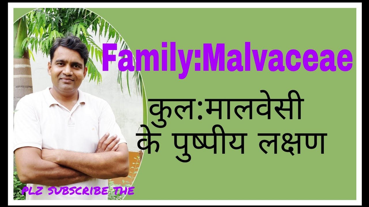 FAMILY: MALVACEAE (कुल: मालवेसी)