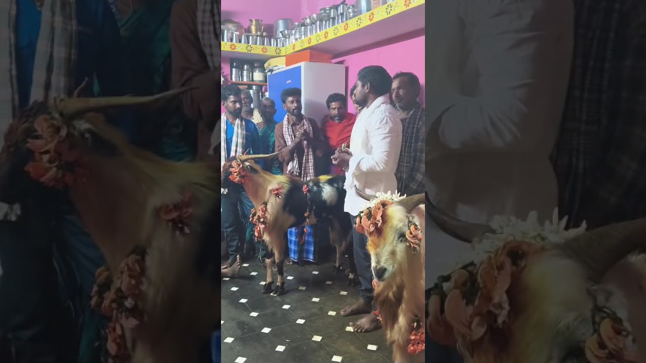 Nagala chanti.golla చదువు