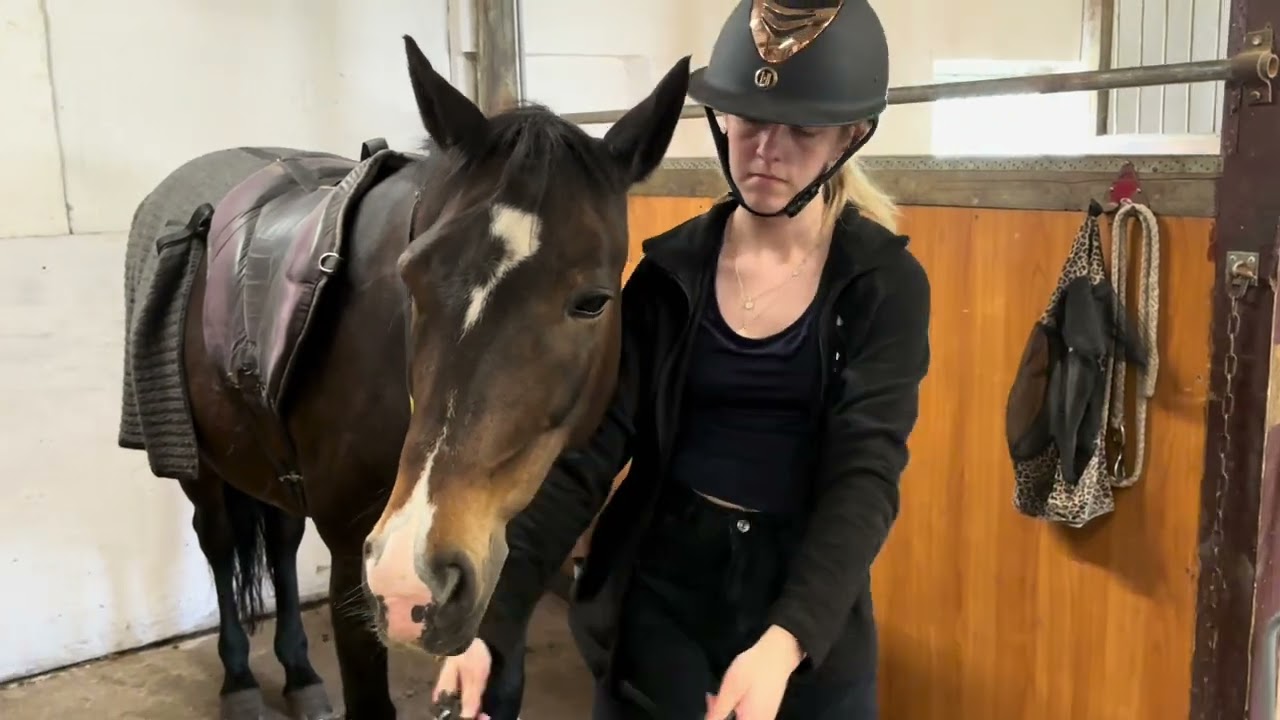 En dag i Nyborg rideklub (NRK)