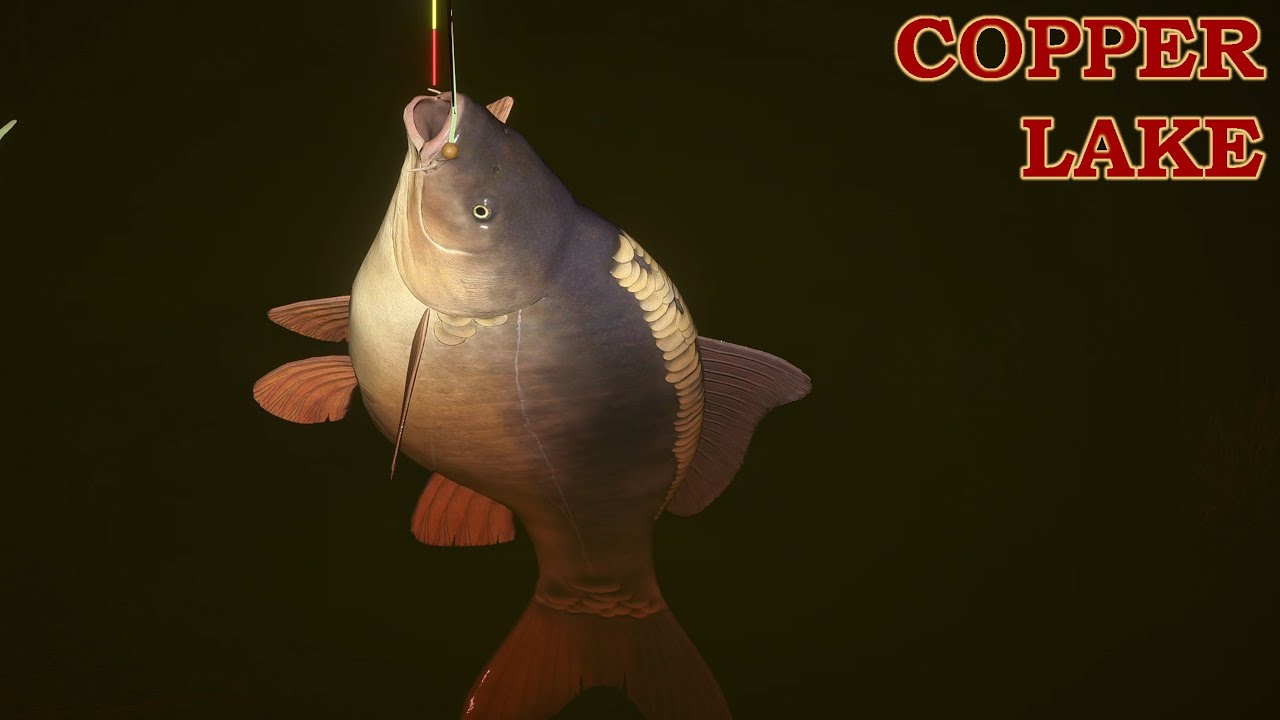 C2 Carp on float Copper Lake | Russian Fishing 4 #carpfishing  #carp