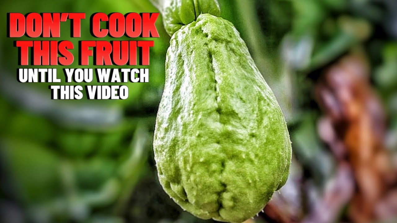 DON'T COOK THIS FRUIT AGAIN UNTIL YOU WATCH THIS VIDEO | HOW TO MAKE A CHO CHO PIE | Hawt Chef