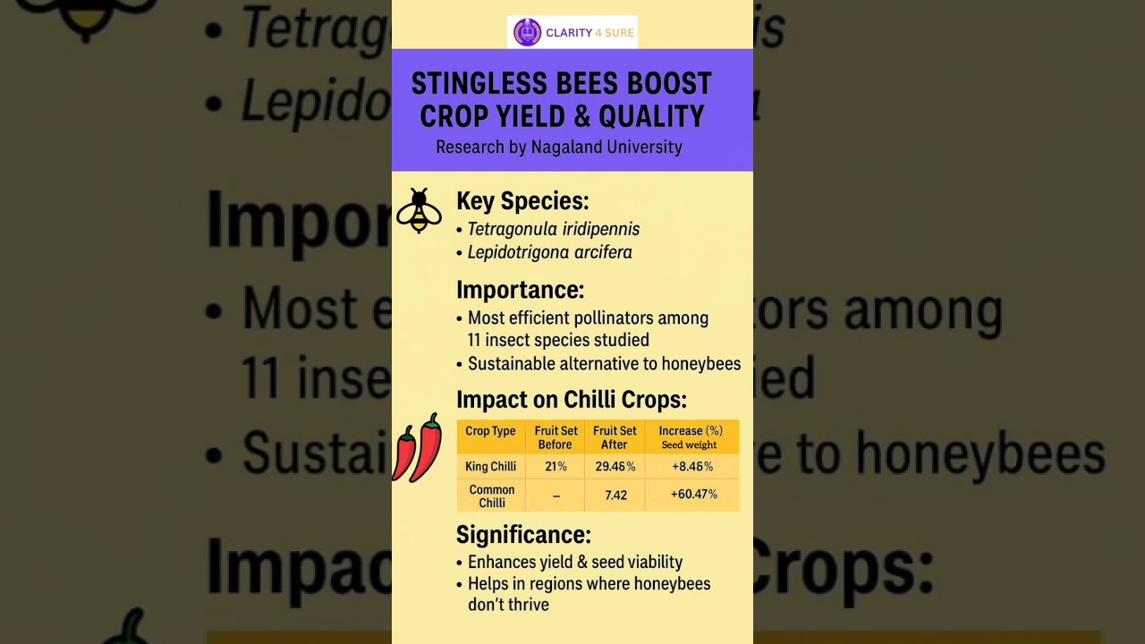 Stingless Bees: The Secret to Better Crop Yields! - @AgriClarity