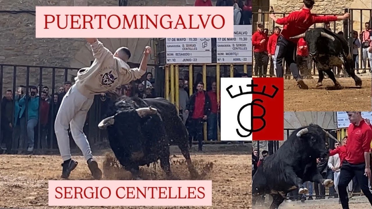 A.C.T PUERTOMINGALVO (17/05/25) ESPECIAL GANADERIA SERGIO CENTELLES