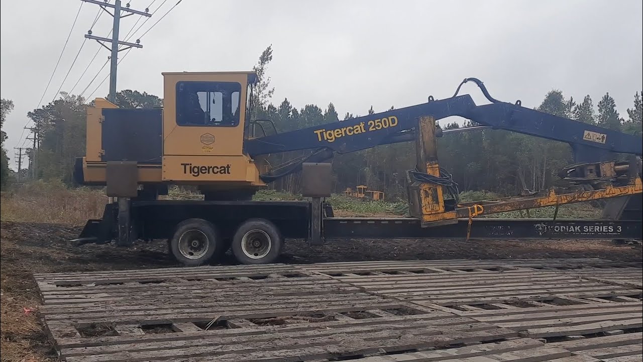 Heavy Equipment Logging Operation
