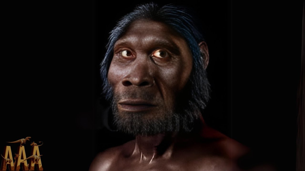 Homo Habilis: Full Documentary