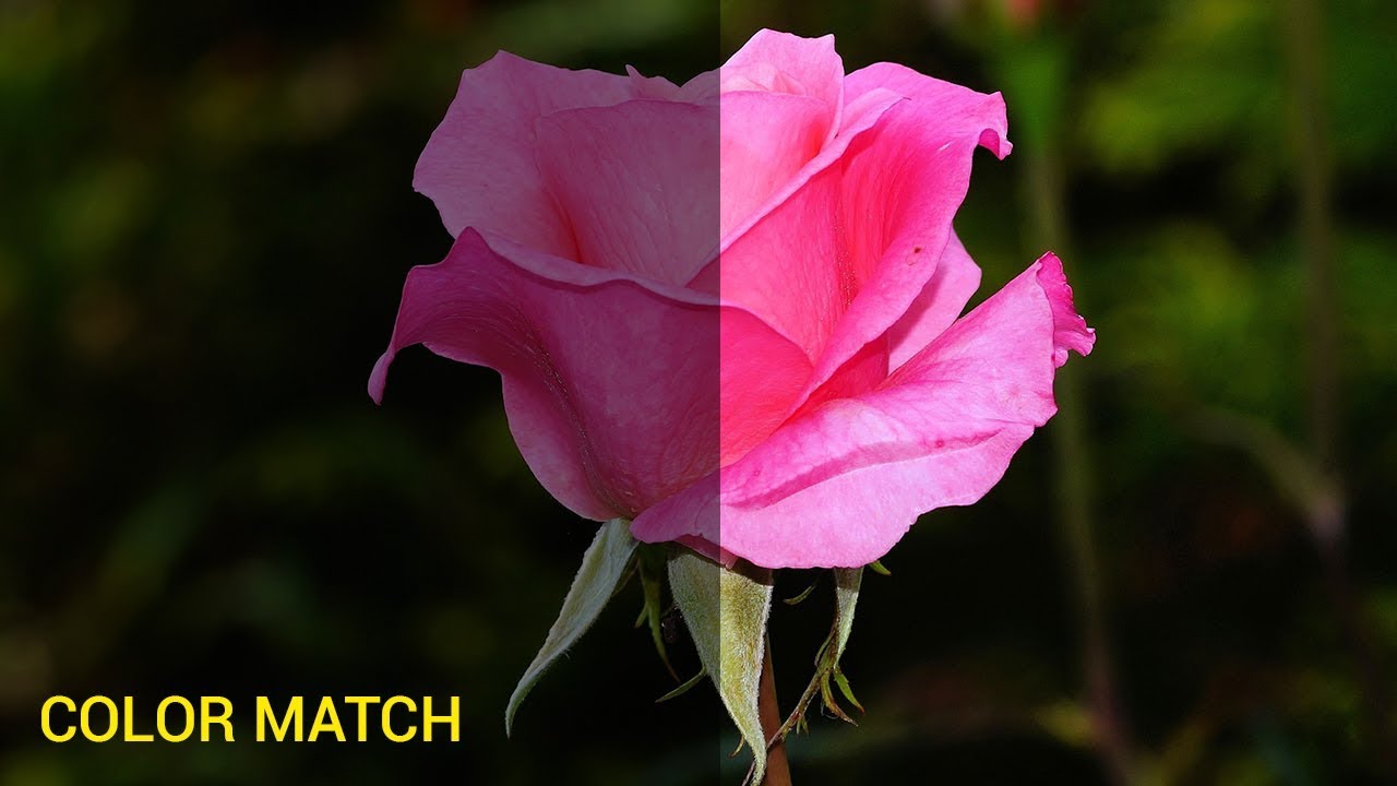 Photoshop Match Color | How to Match Color with Background in Photoshop in Hindi.