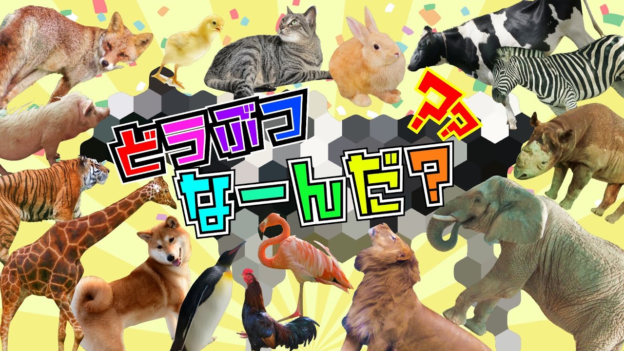 どうぶつ大好き！！楽しい＆リアルな動物クイズ♪【どうぶつなーんだ？】幼児子供向けクイズアニメーション◆途中広告無し22分♪◆｜動物園｜小動物｜知育動画