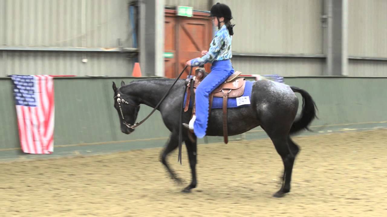 Appaloosa Horse Club UK Nationals