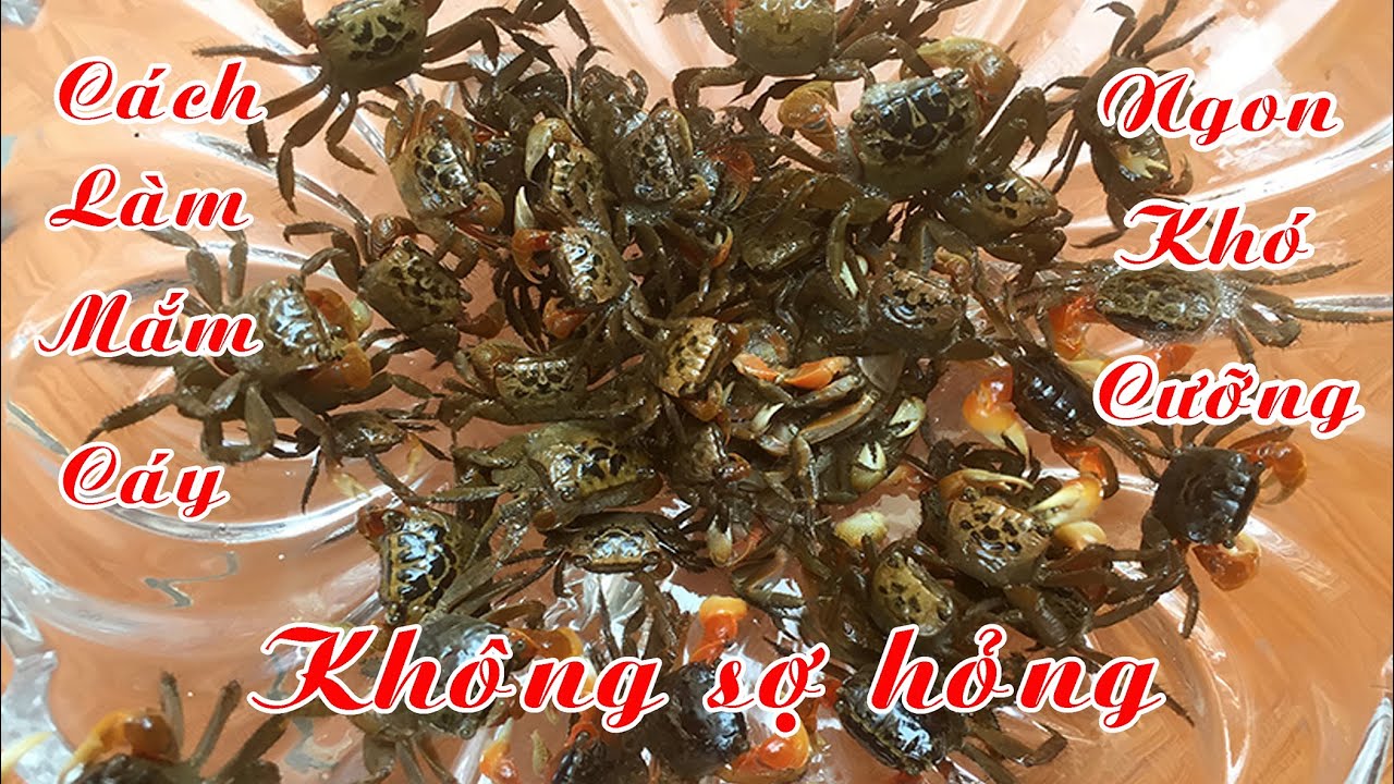 Nước mắm cáy, hướng dẫn cách làm mắm cáy ngon, từ A - Z không bao giờ bị hỏng