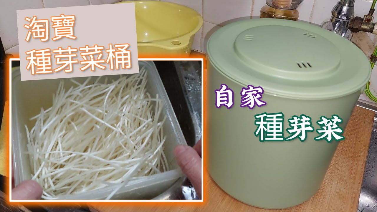 【淘寶發豆芽機】自己種芽菜，自動發芽無需浸水種植，想種多少就多少，幾天收成，真方便