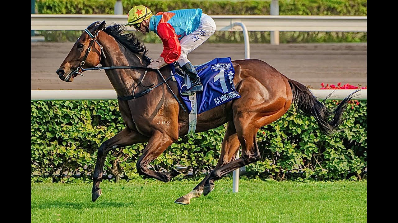 嘉應高昇締造香港紀錄18 連勝 Ka Ying Rising 18 Consecutive Wins