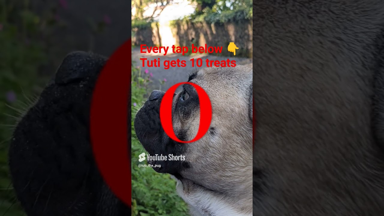 Tap below I need treats now😡😡😡 