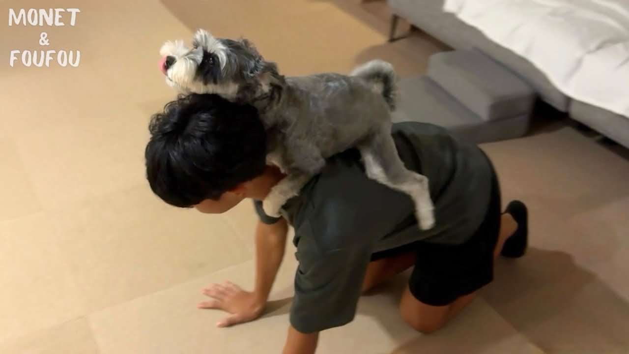 3ヶ月ぶりにお兄ちゃんに会った犬が“怒りの訴え”
