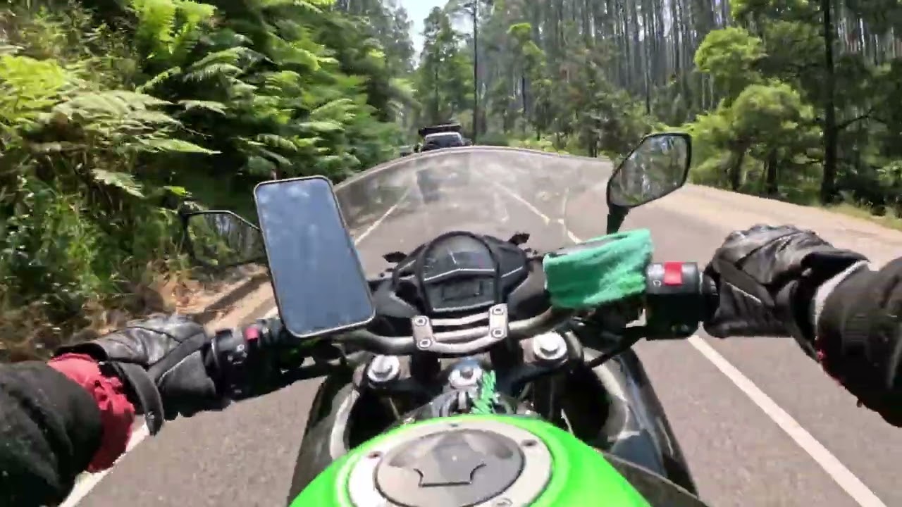 Black Spur Group Ride
