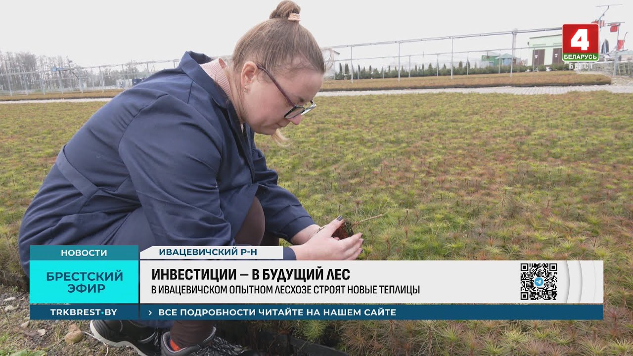 ИНВЕСТИЦИИ – В БУДУЩИЙ ЛЕС