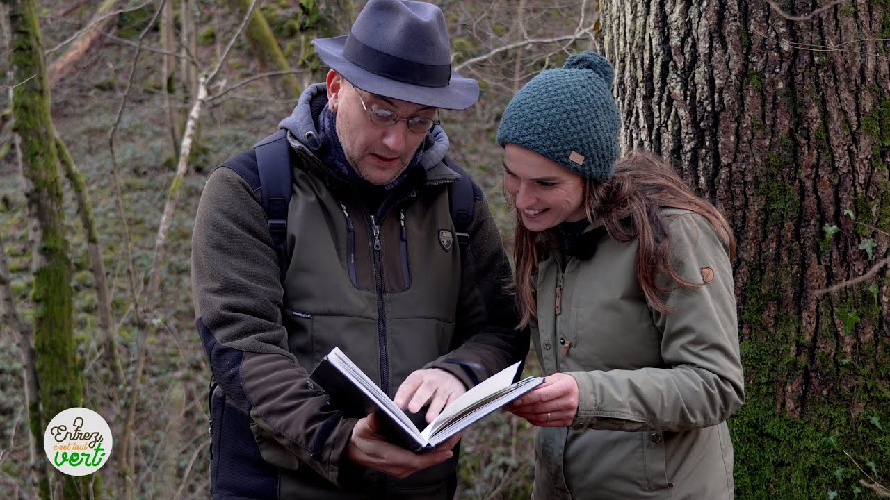 Traces d'animaux, arbre en hiver, protéger nos fruitiers, le perce-neige, les semis et les nichoirs