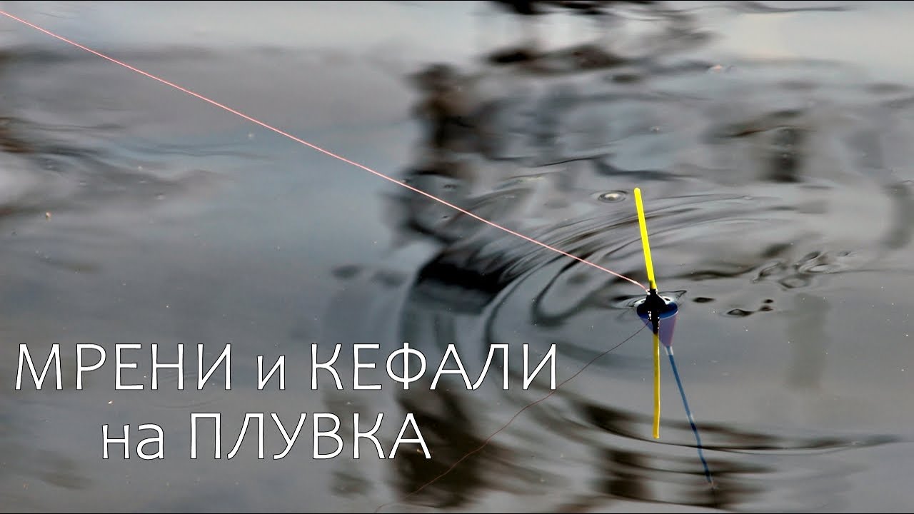 ГОЛЕМИ МРЕНИ и КЕФАЛИ-СУПЕР ИЗНЕНАДА-РИБОЛОВ с БОЛОНЕЗА и ПЛУВКА на ИЗТИЧАНЕ
