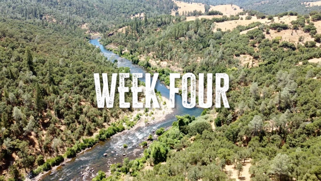 Moshava Alevy Summer 2025 - Week 4