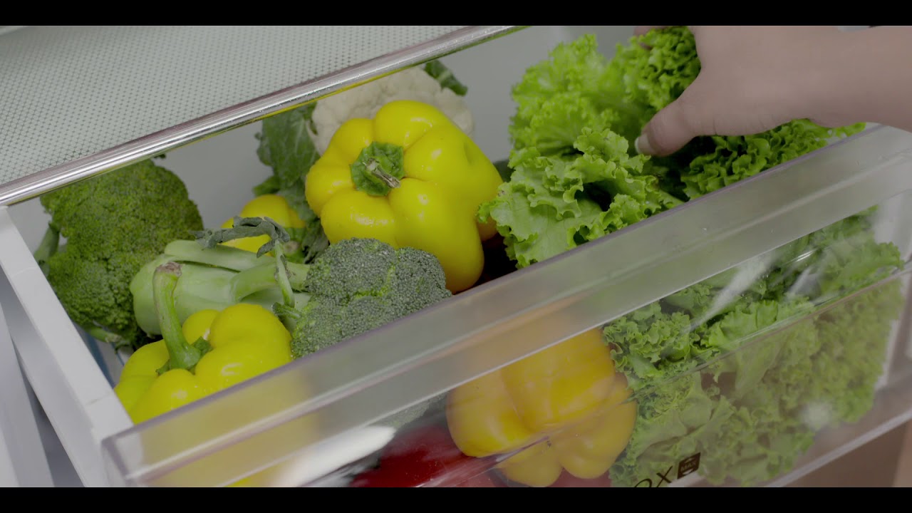 Haier New Bottom Mounted Refrigerator