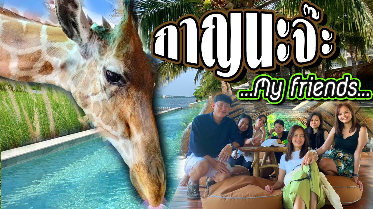 เที่ยวกาญจนบุรี ซาฟารีปาร์ค กินต้องกาญคาเฟ่ คีรีธารา ที่พักใกล้สะพานข้ามแม่น้ำแคว อนันสิตรา
