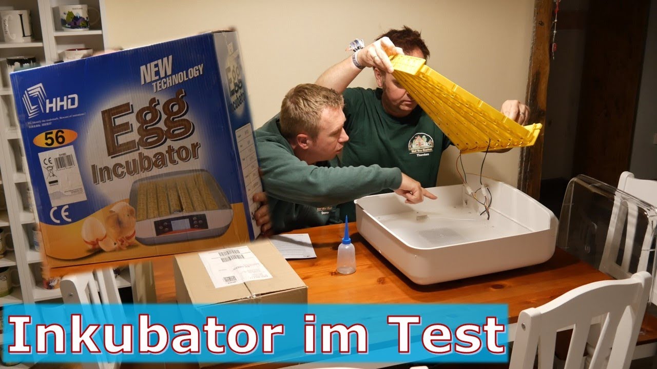 Inkubator im Test I - Wir bestücken einen Flächenbrüter mit Kippwendung