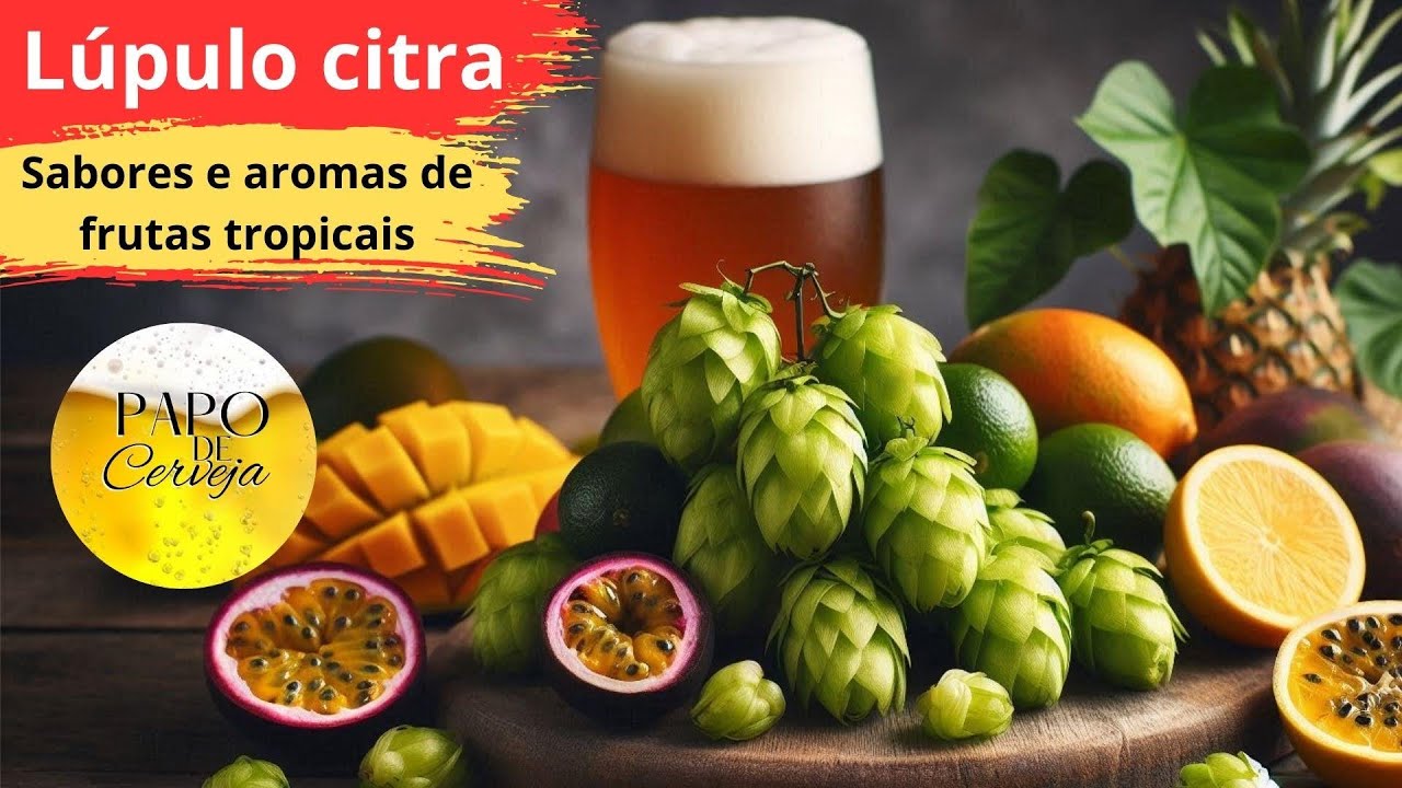 L&uacute;pulo Citra na Cerveja: Aromas Explosivos e Combina&ccedil;&otilde;es Perfeitas!