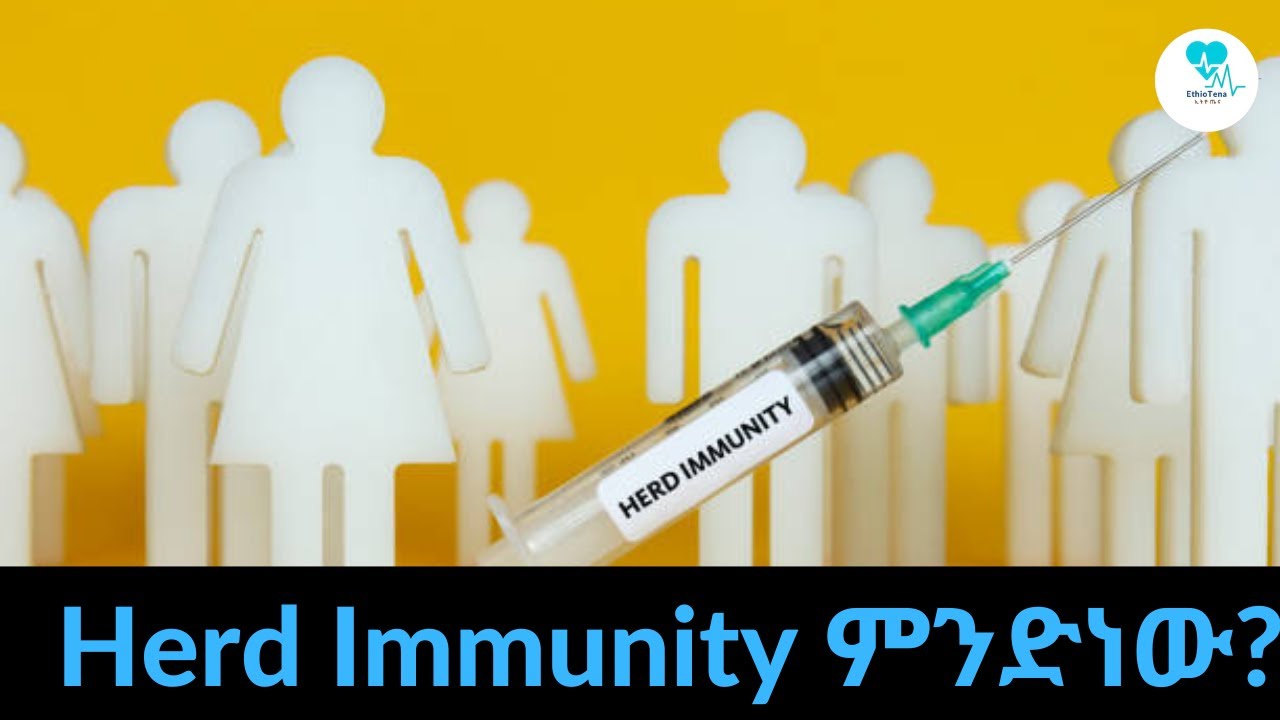 Herd Immunity ምንድን ነው? | EthioTena |
