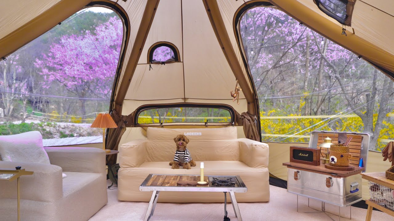 В палатке уютно, как дом с собакой Cherry Blossom Camping