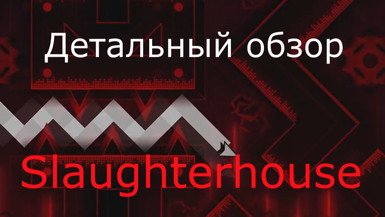Детальный обзор 